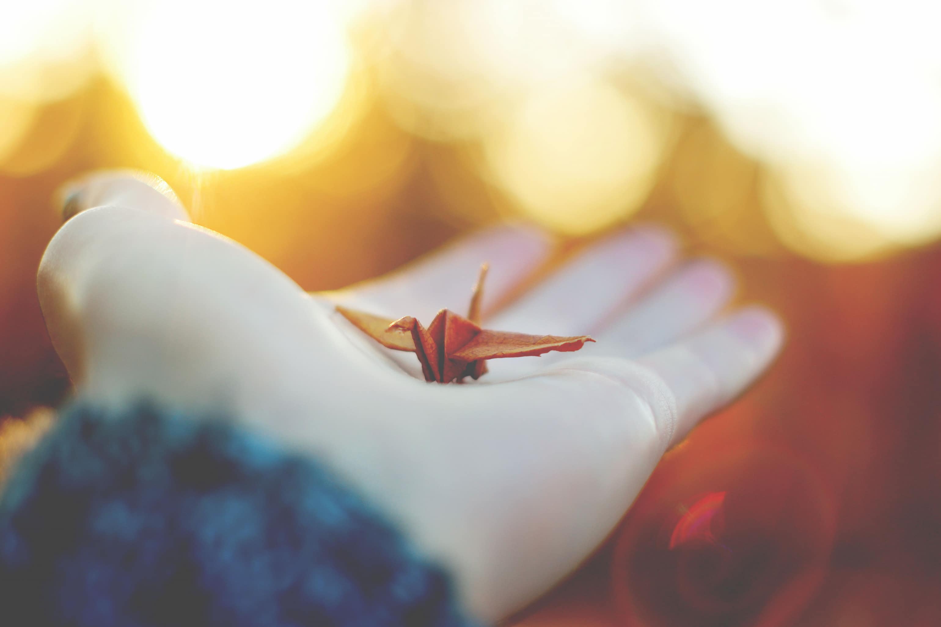 an origami crane on my hand , with large orange bokeh in the background