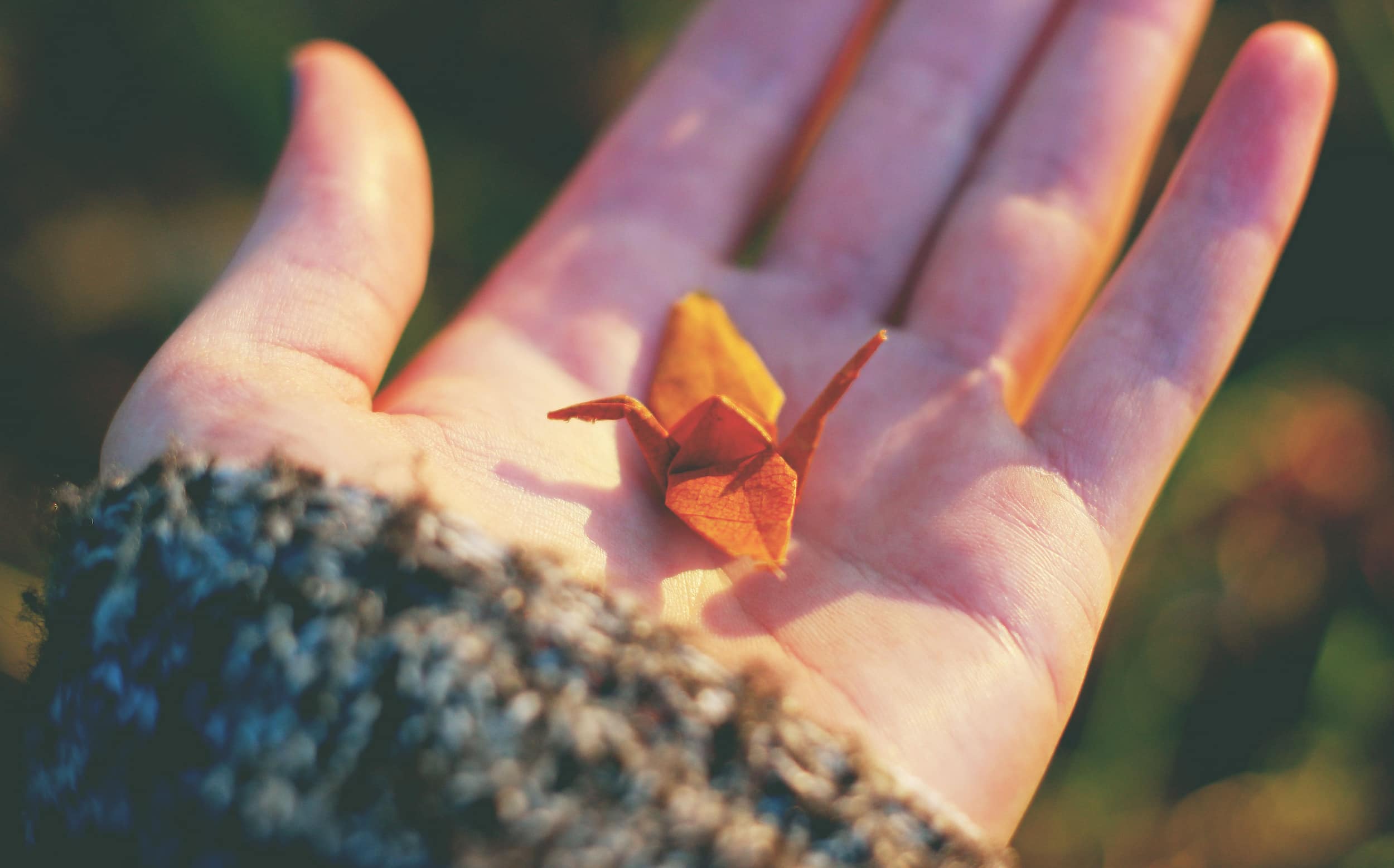 an origami crane on my hand , with blurred green plants in the background