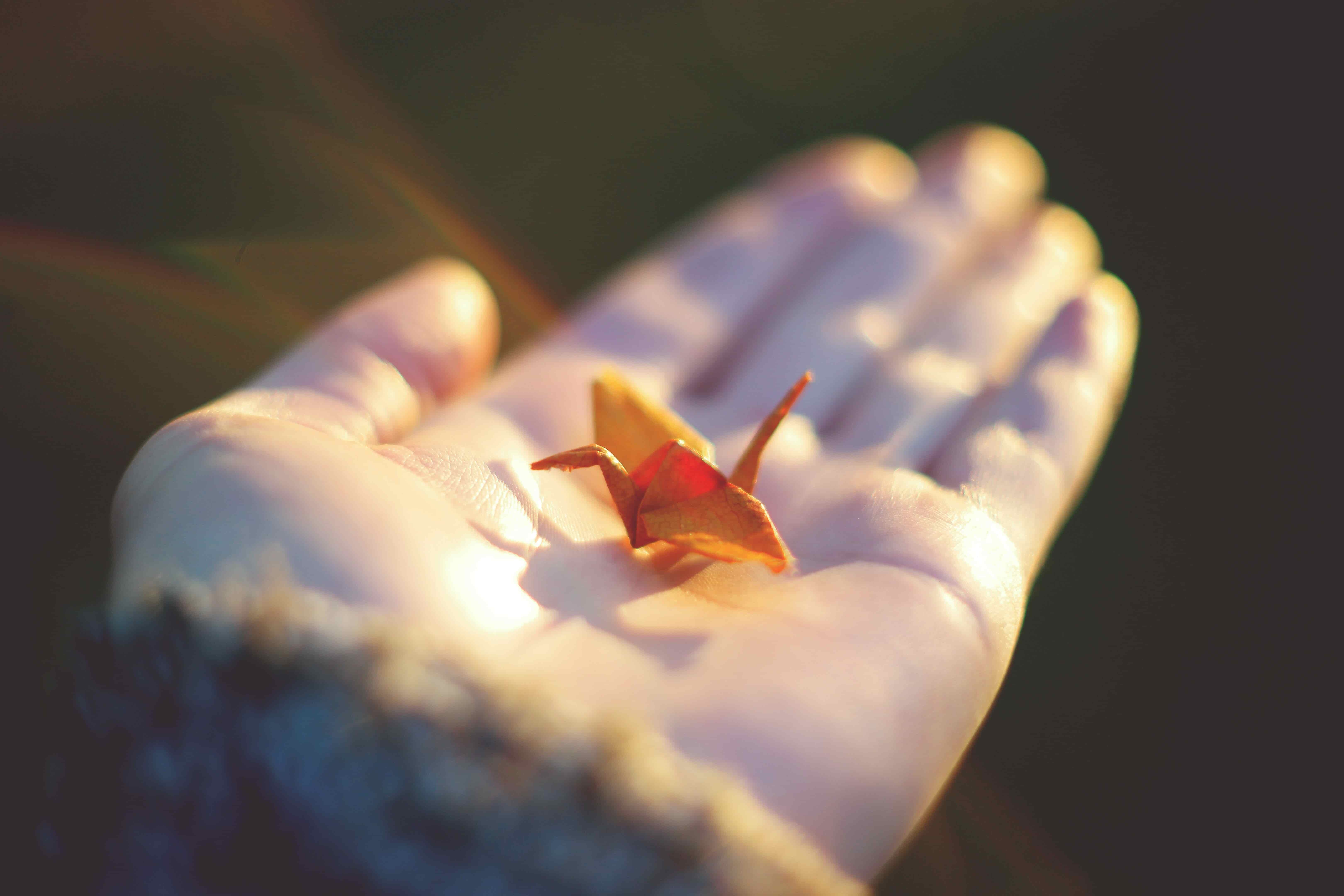 a small , orange origami crane resting on my hand , backlit by the sun