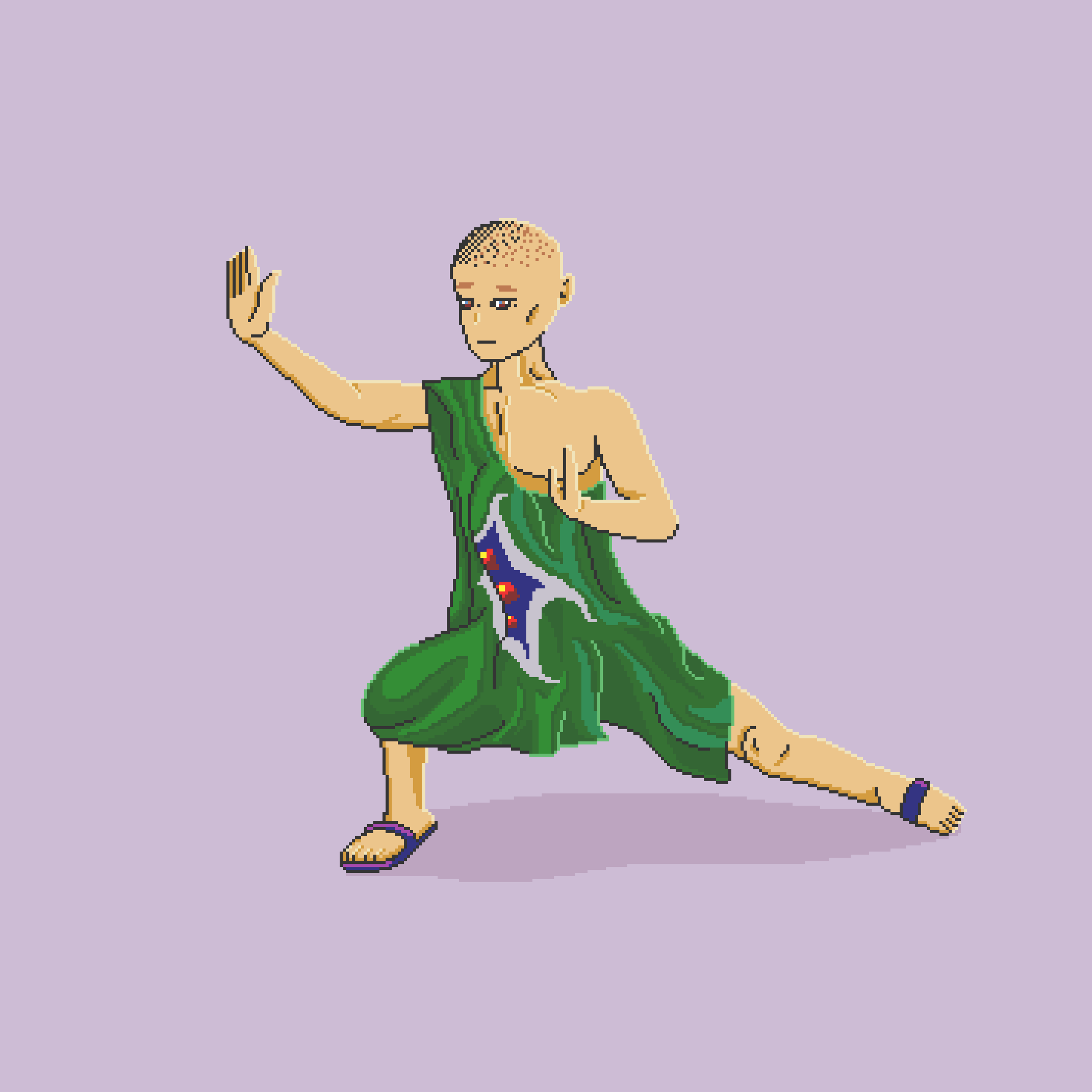 a person with a shaved head & a calm face stands in a crouched fighting position. they are wearing green robes with an abstract pattern in the middle.